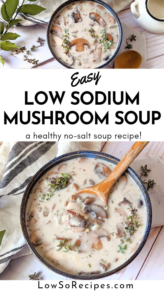 low sodium cream of mushroom soup recipe healthy no salt mushroom soup for recipe like green bean casserole or stuffing