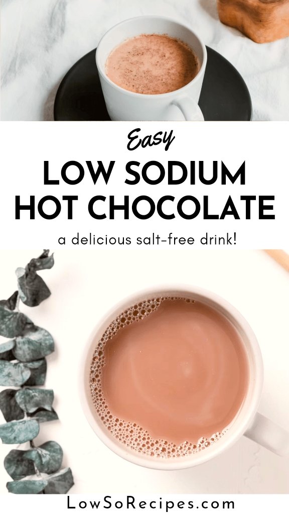 low sodium hot chocolate recipe no salt healthy hot cocoa without salt recipe 