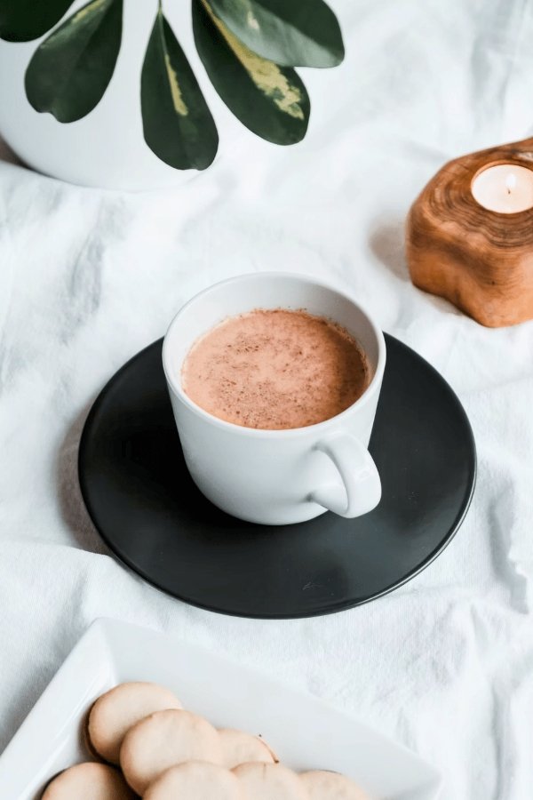 salt free hot chocolate recipe low sodium cocoa with cacao powder easy low sodium desserts without salt