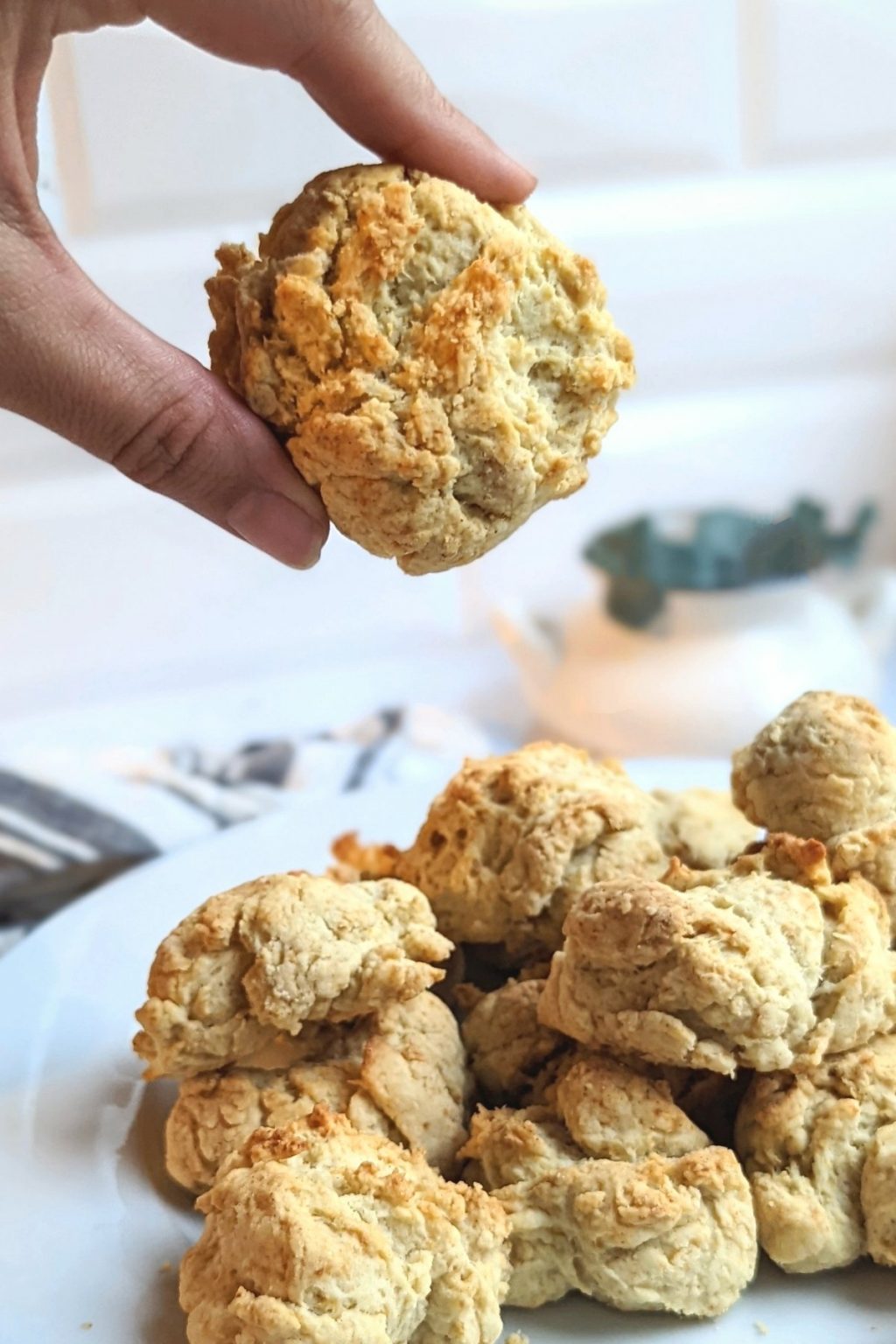 Low Sodium Biscuits Recipe Low So Recipes