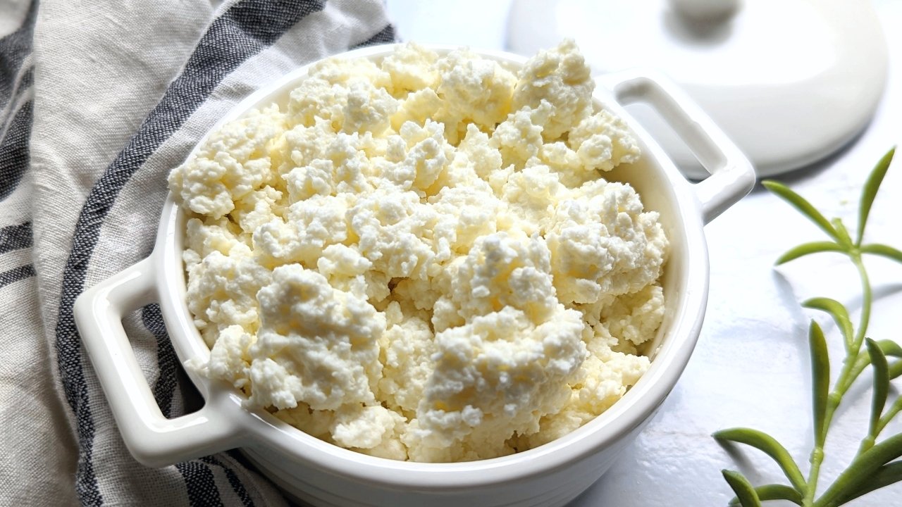 salt free cheese homemade farm cheese ricotta cheese without salt healthy cheese recipes at home with milk