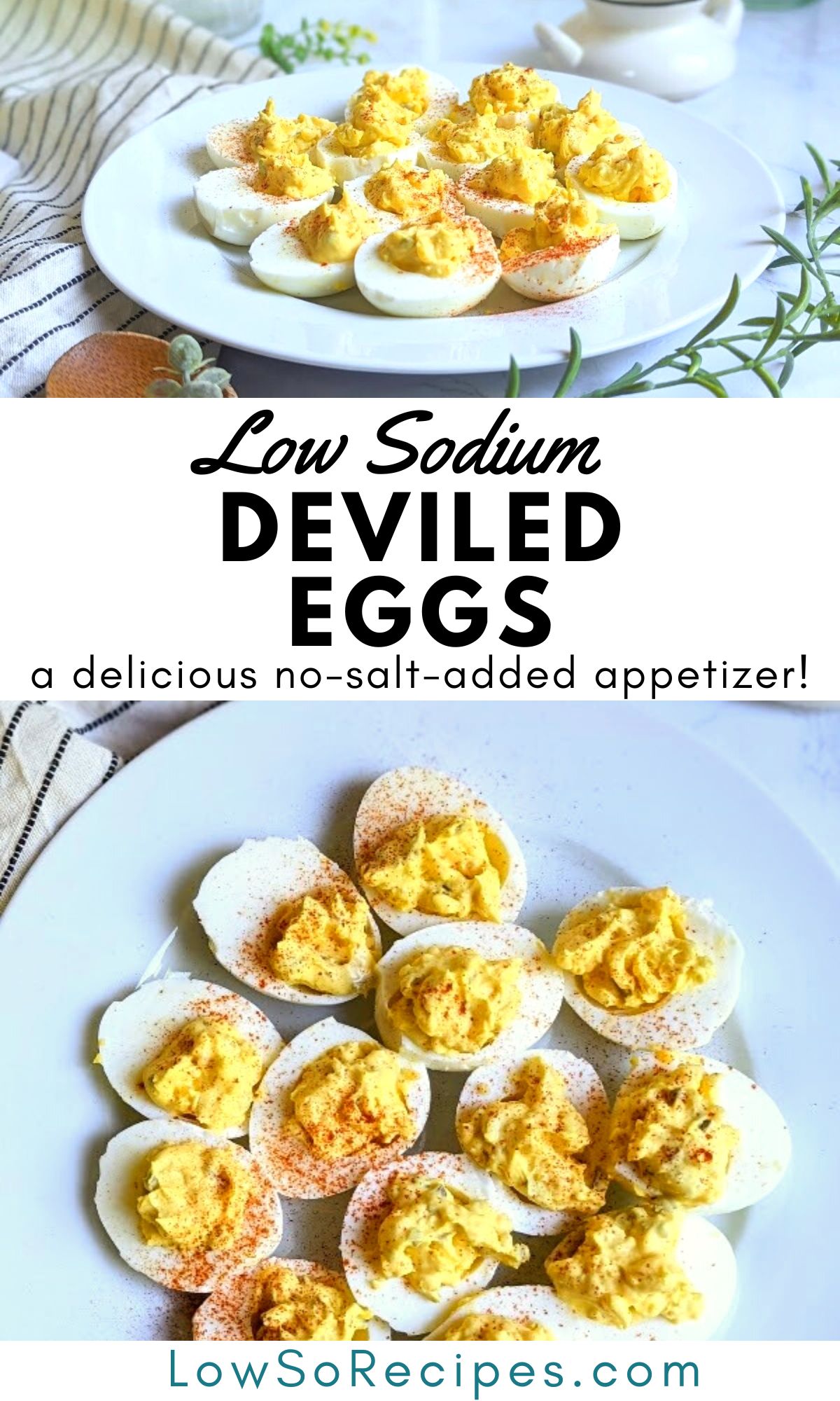 low sodium deviled eggs recipe no salt added appetizers without salt healthy egg recipes low salt