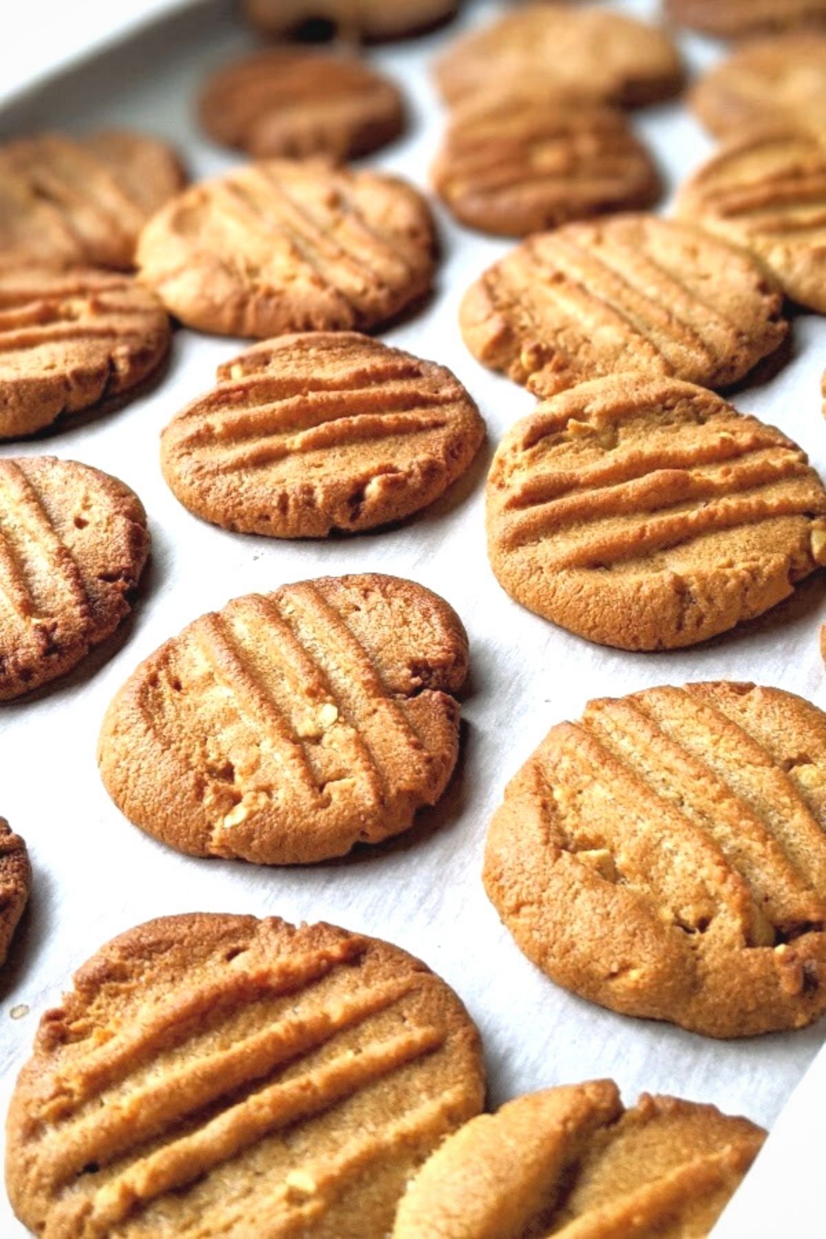 low sodium cookies no salt added dessert recipe peanut butter cookies with unsalted peanut butter recipes