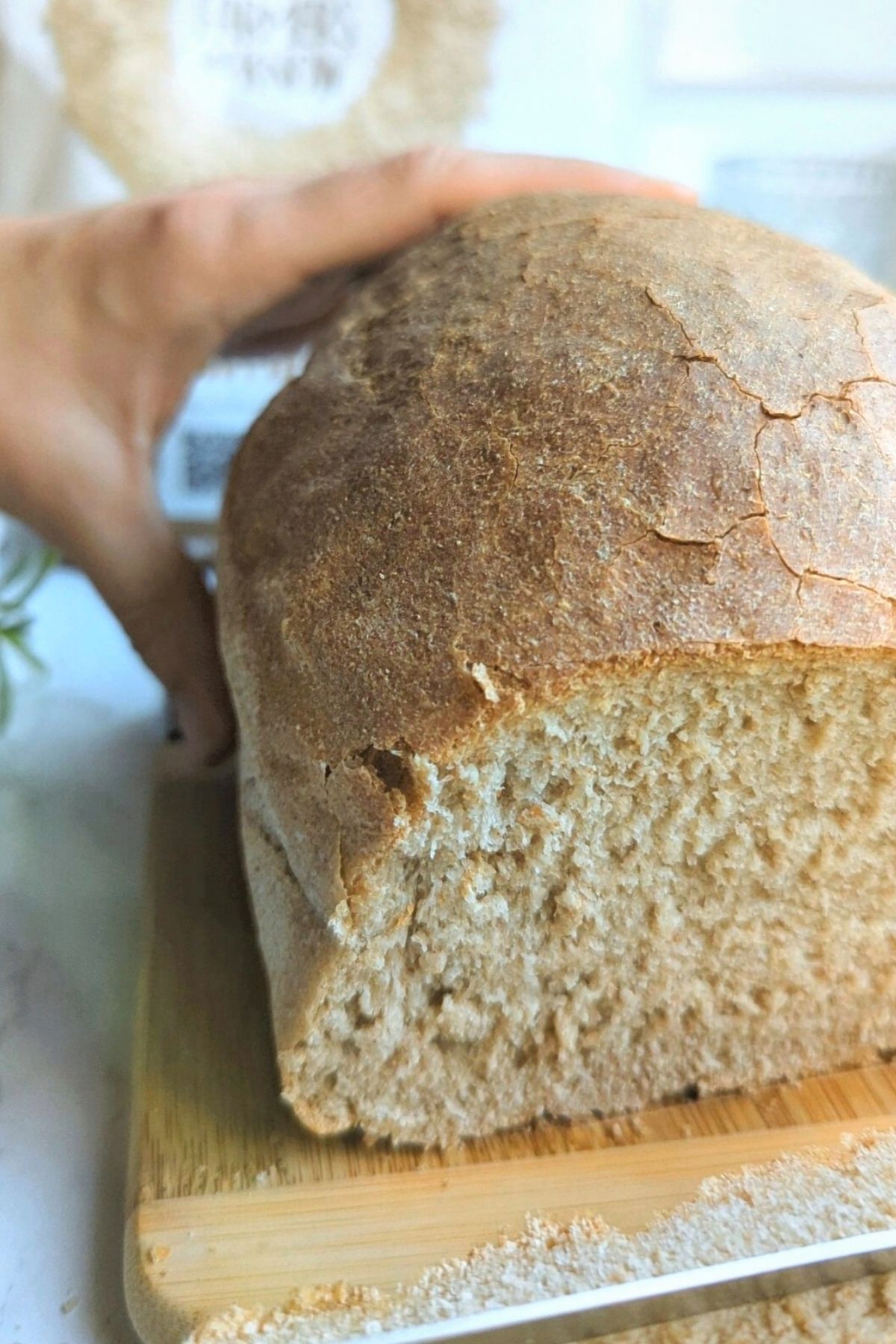 low salt whole wheat bread recipe less salt reduced salt bread heart healthy bread recipes with whole wheat flour and yeast