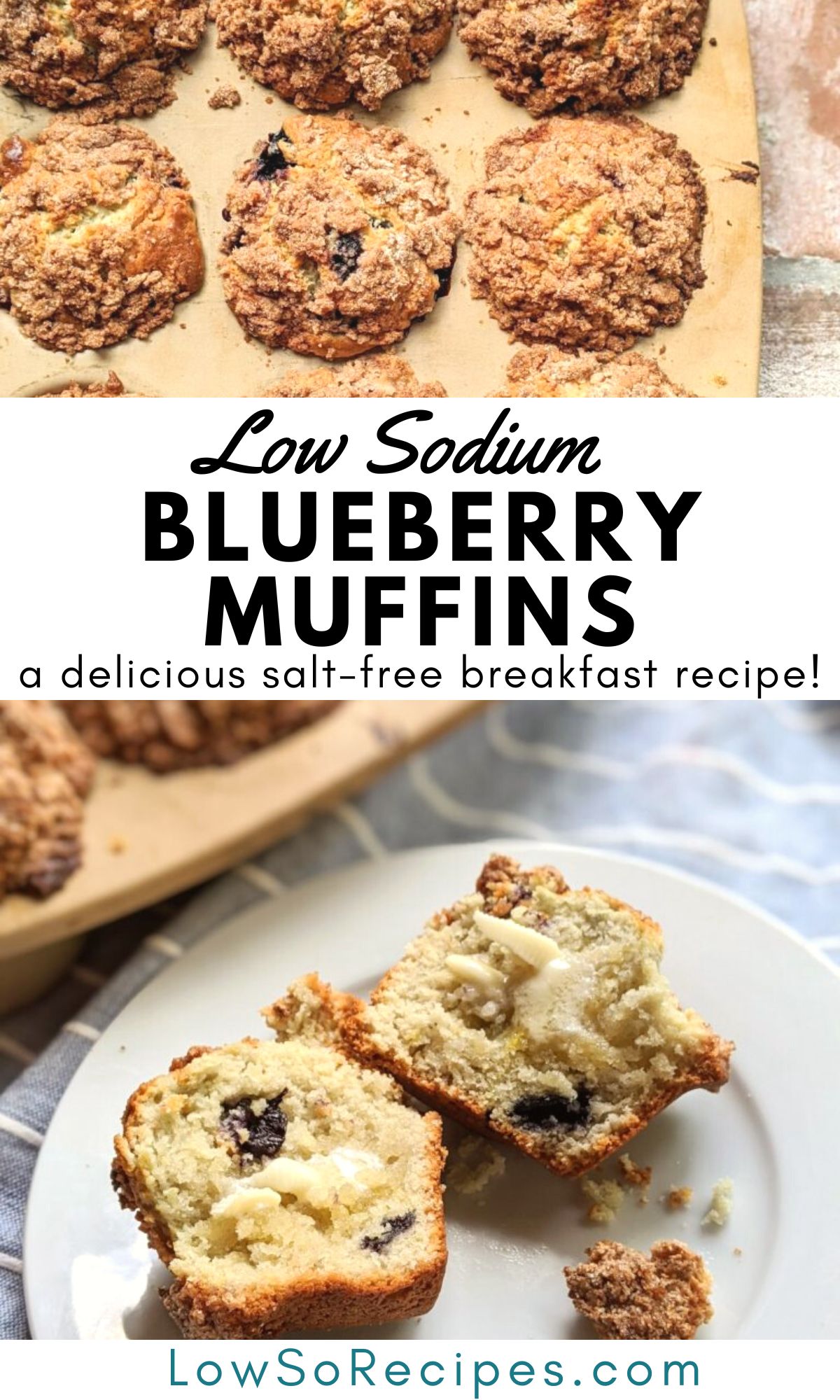 low sodium blueberry muffins recipe healthy low sodium muffins with fruit and eggs unsalted butter in baking muffins recipes
