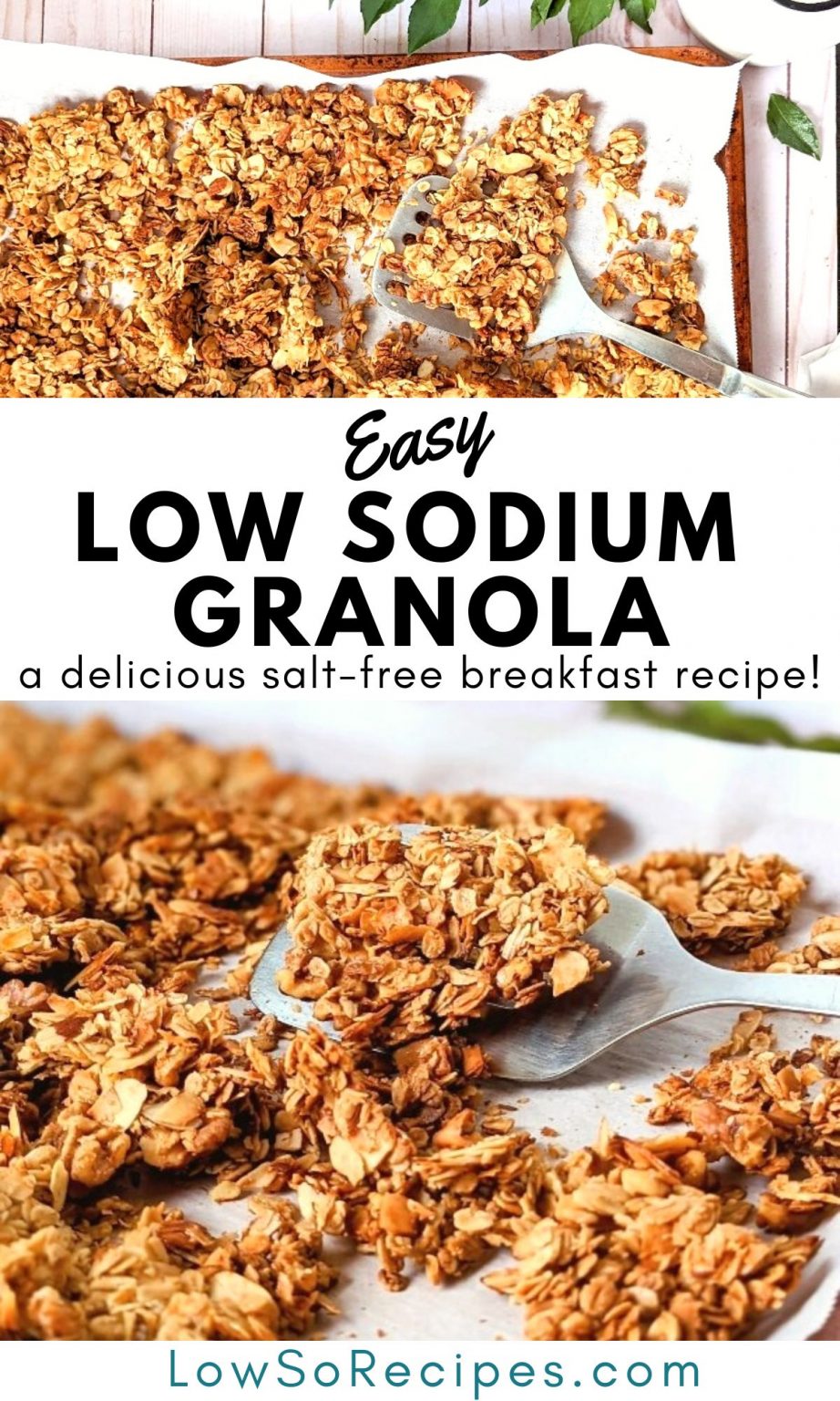 Low Sodium Granola Recipe (No Salt Added) Low So Recipes
