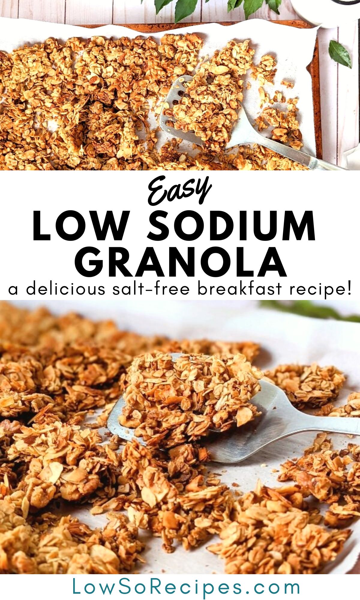 low sodium granola recipe healthy no salt breakfast recipes with oats nuts and natural sweeteners