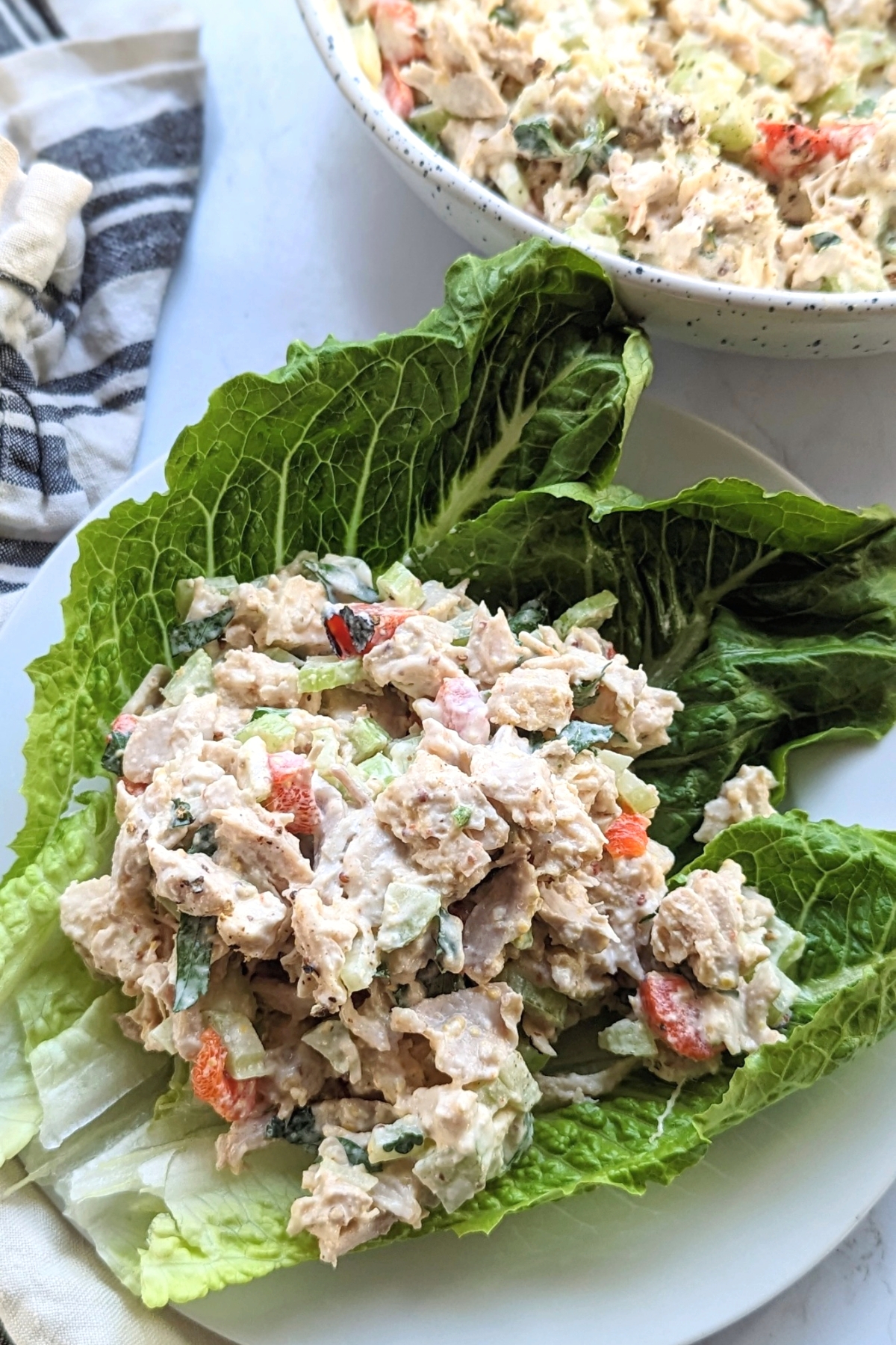 chicken salad low sodium lunch recipes heart healthy chicken salad with celery mayonnaise dijon mustard roasted red pepper and parsley