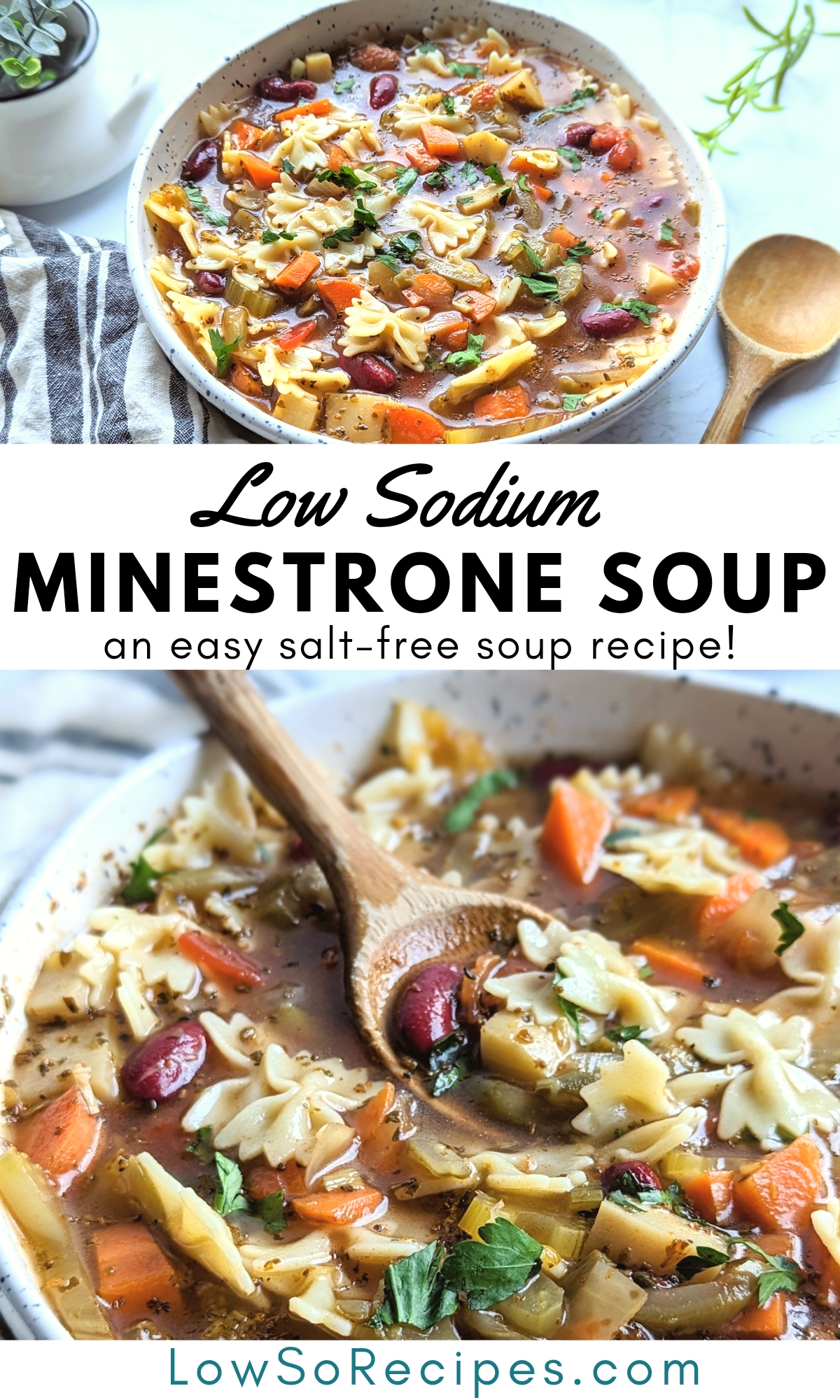 low sodium minestrone soup recipe vegetarian no salt added soups meatless bean and pasta soup