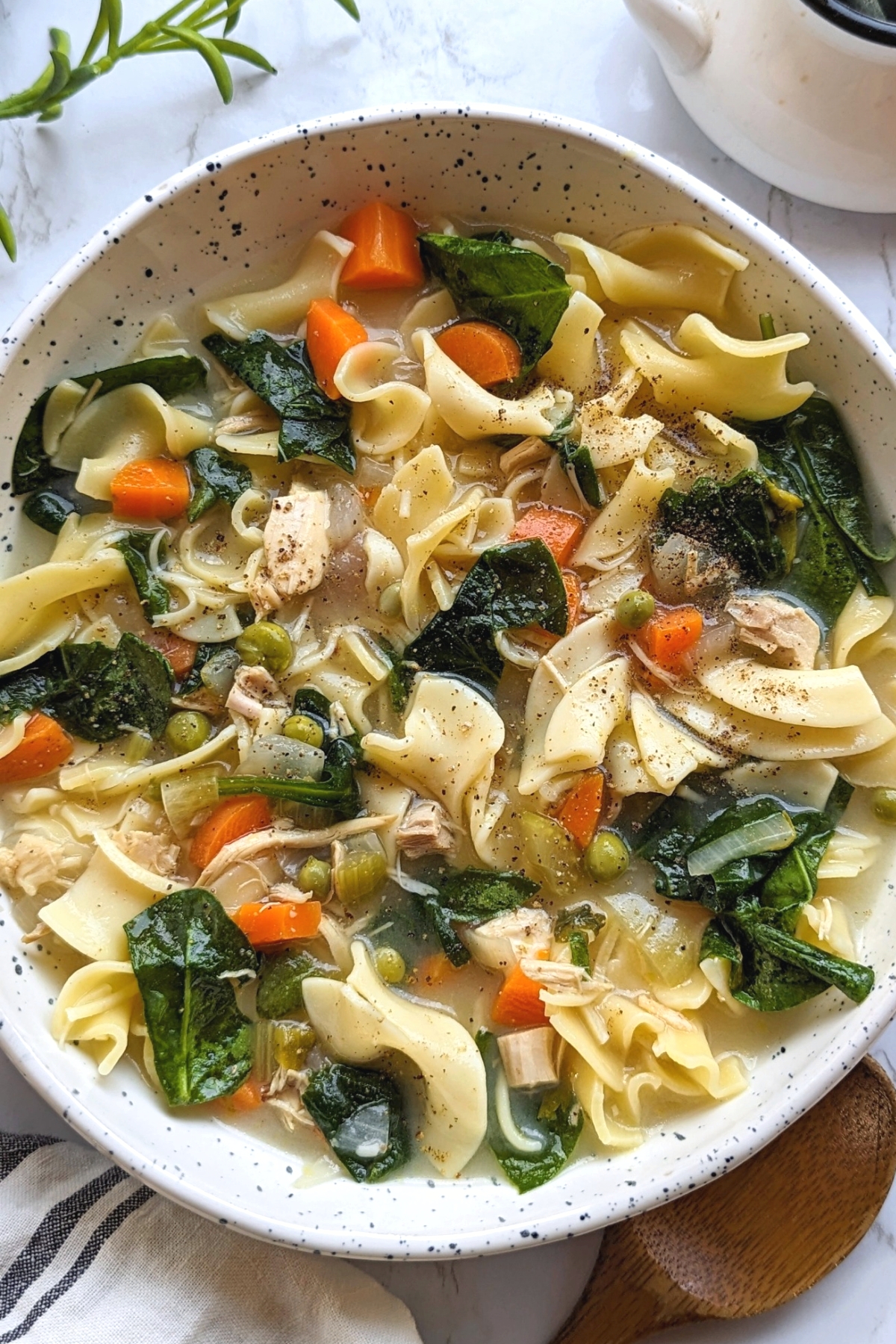 Low Sodium Chicken Noodle Soup Recipe (No Salt Added)