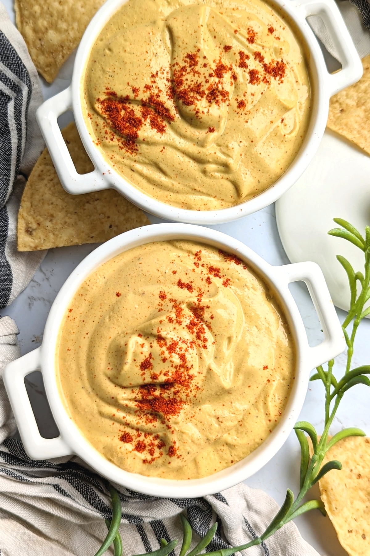 low sodium cheese dip recipe healthy salt free queso without cheese heart healthy dips for tortilla chips or vegetables in a dish with chili powder
