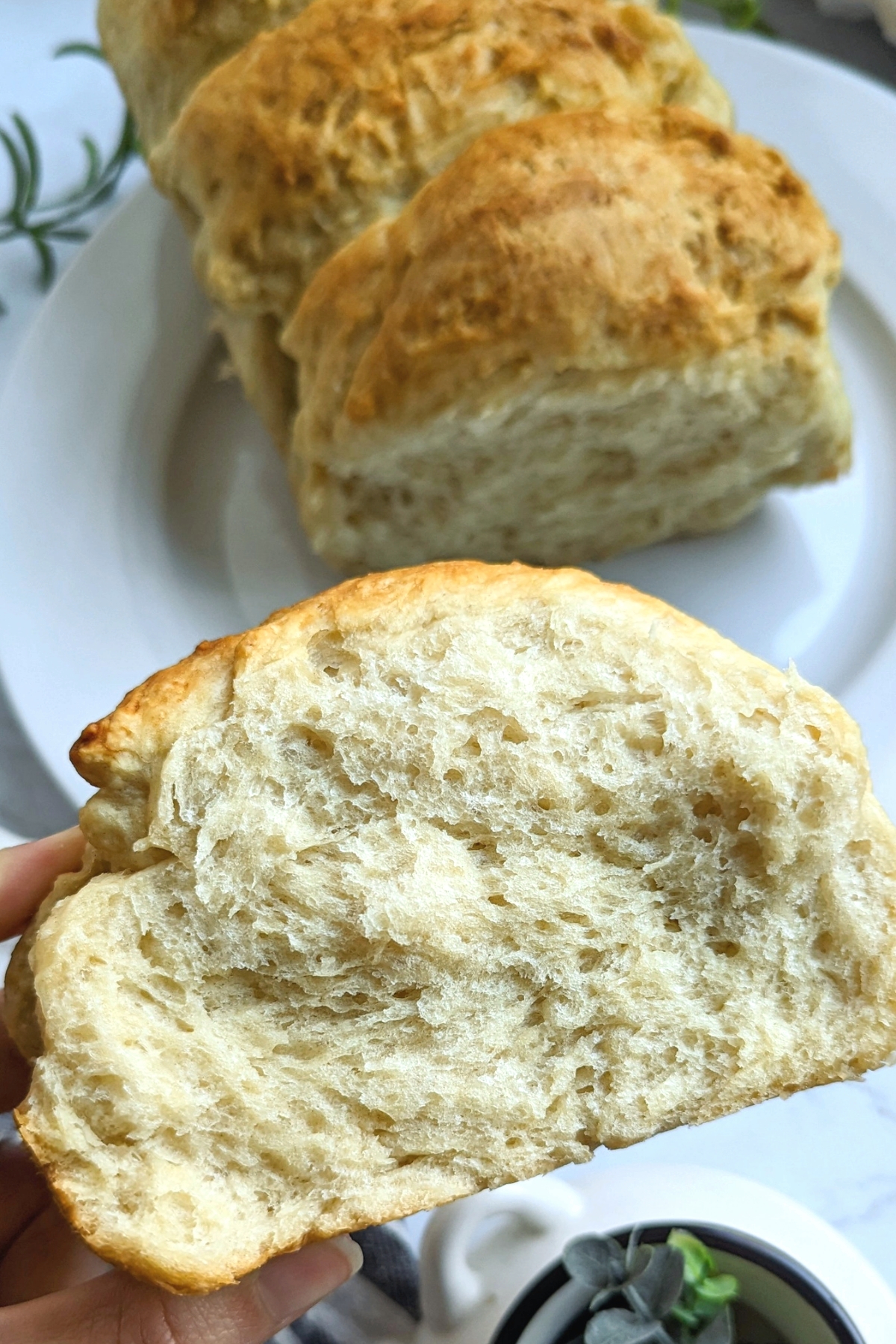 low ssalt brioche bread recipe low sodium breads for breakfast lunch or dinner easy french toast bread with low salt