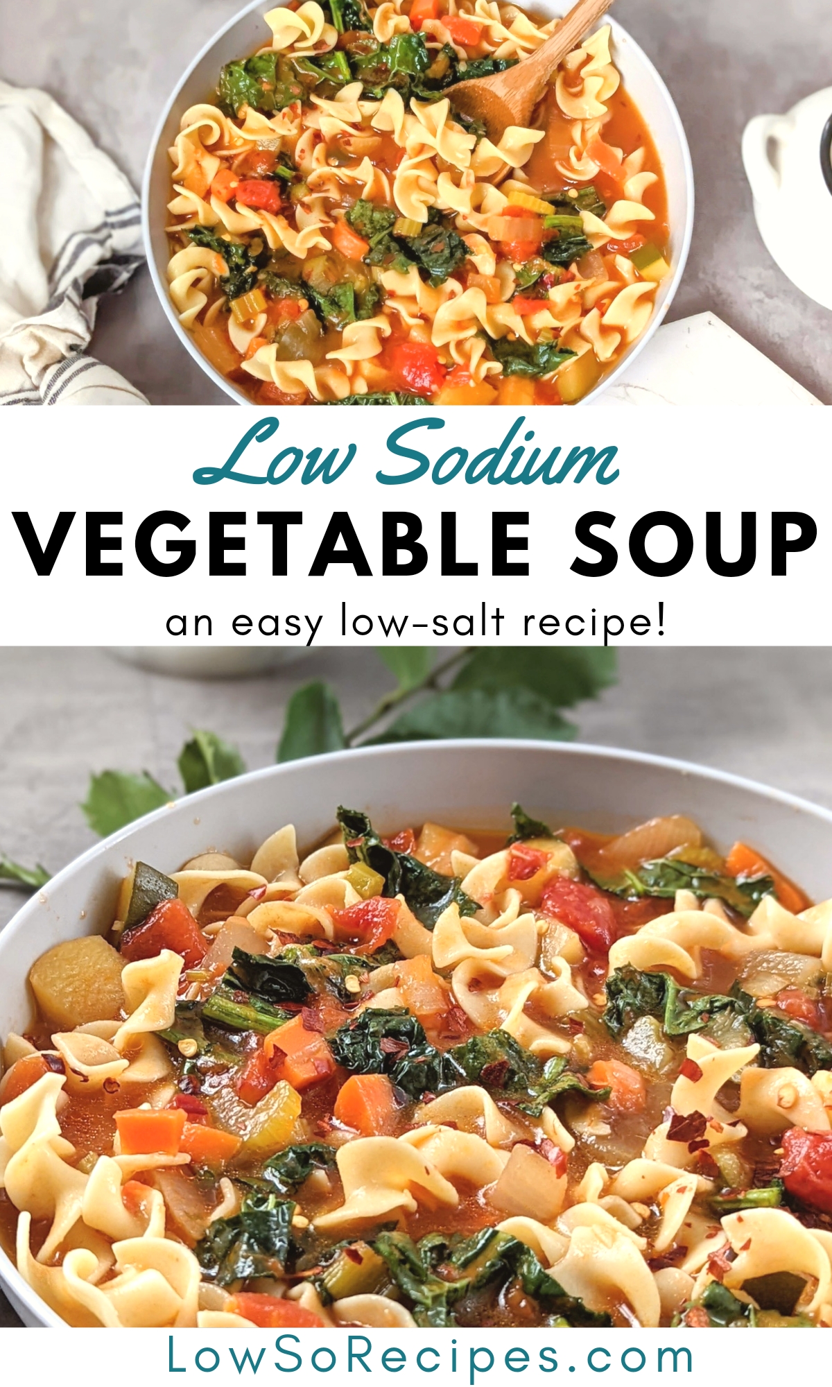 low sodium vegetable soup recipe with egg noodles low salt recipes for lunch or dinner