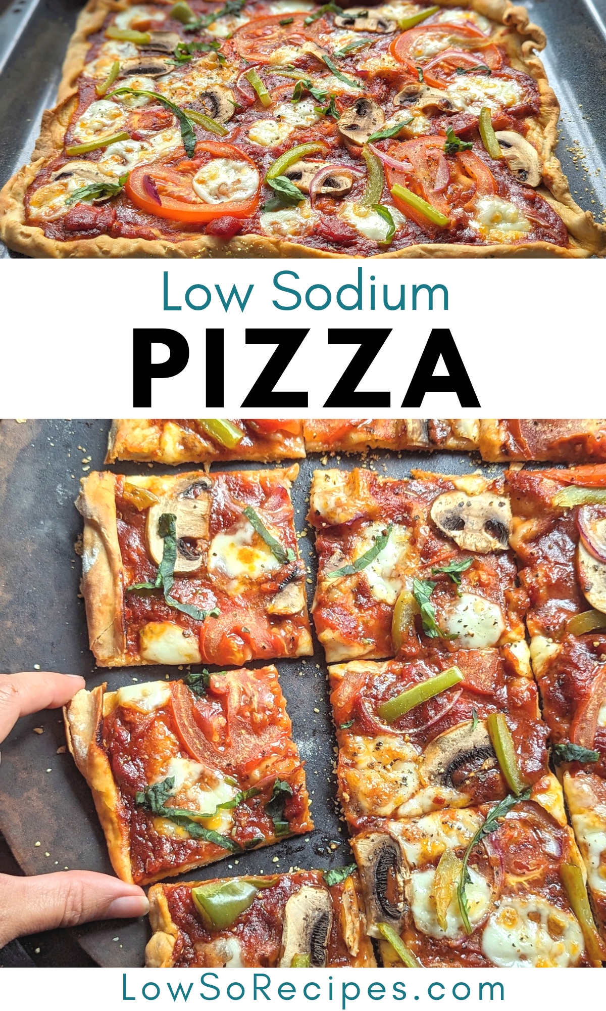 low sodium pizza recipe with vegetables and fresh mozzarella salt free sauce and dough