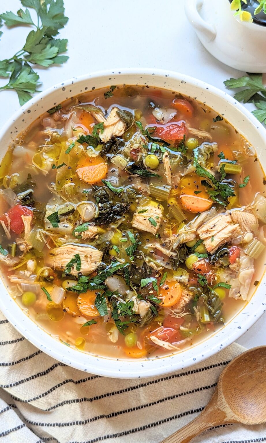 Low Sodium Chicken Soup with Vegetables Recipe - Low So Recipes