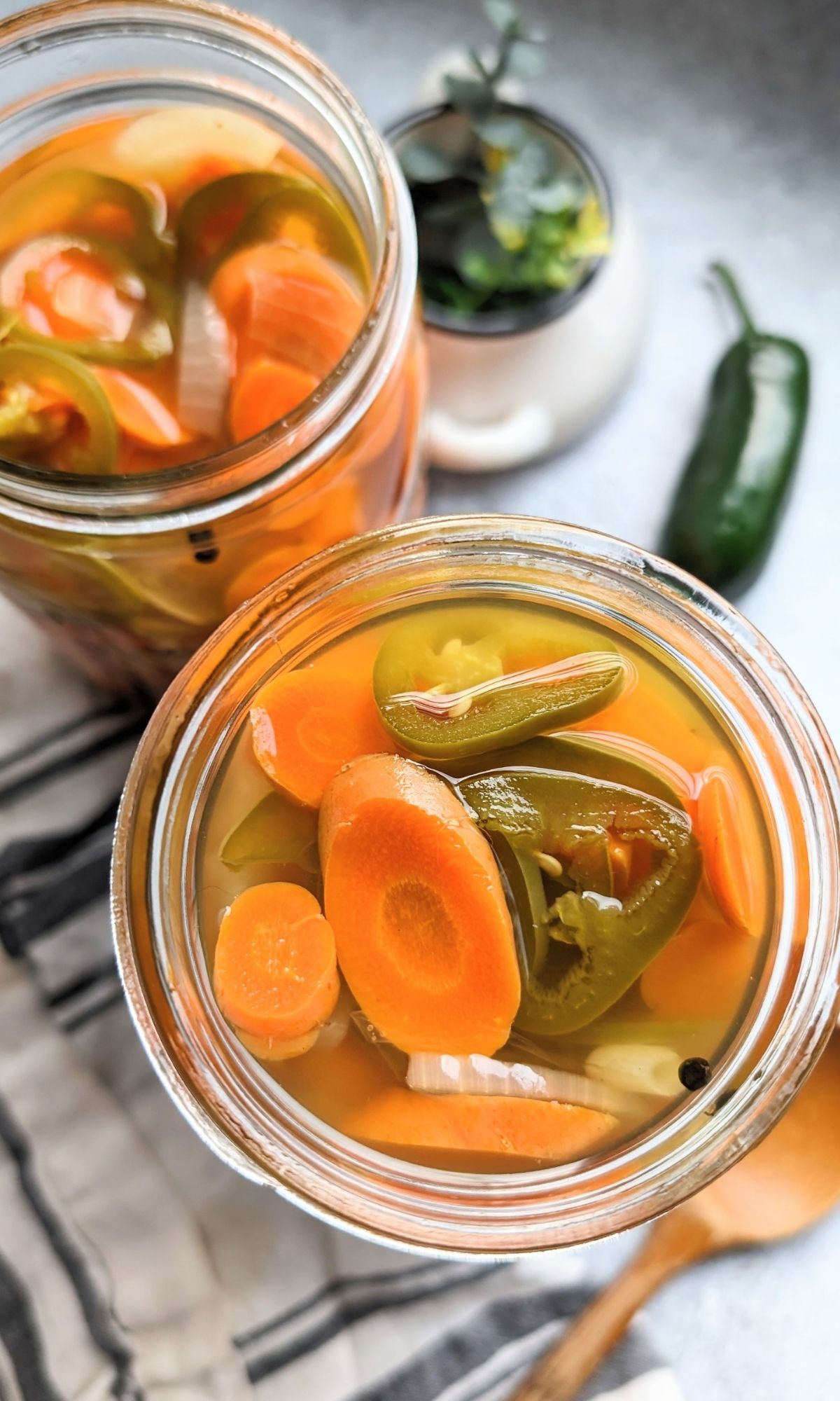 no salt pickled carrots recipe with peppers onion garlic peppercorns and white vinegar