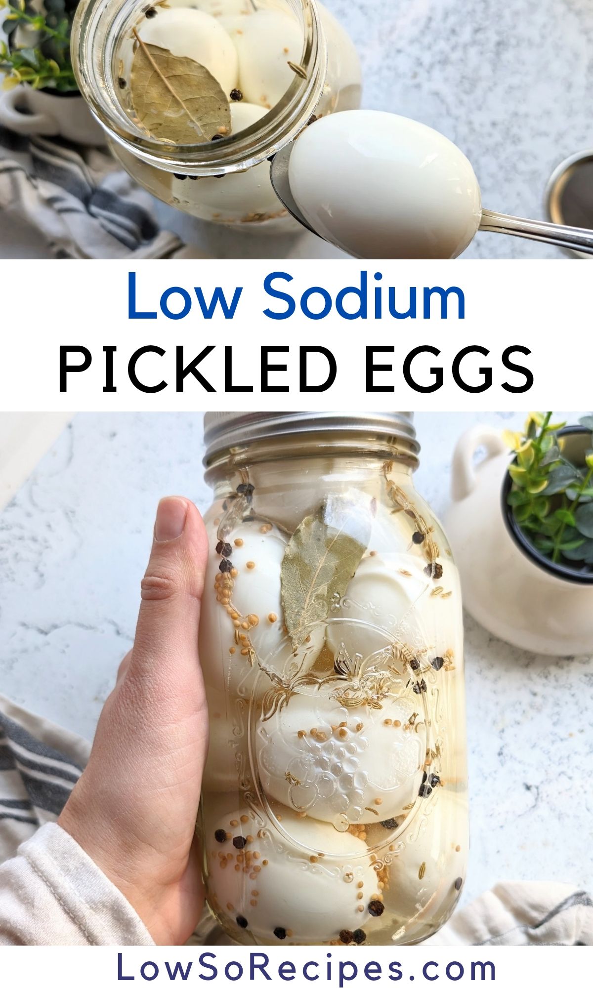 low sodium pickled eggs recipe low salt pickle recipes easy pickled eggs without salt low sodium high protein keto recipes