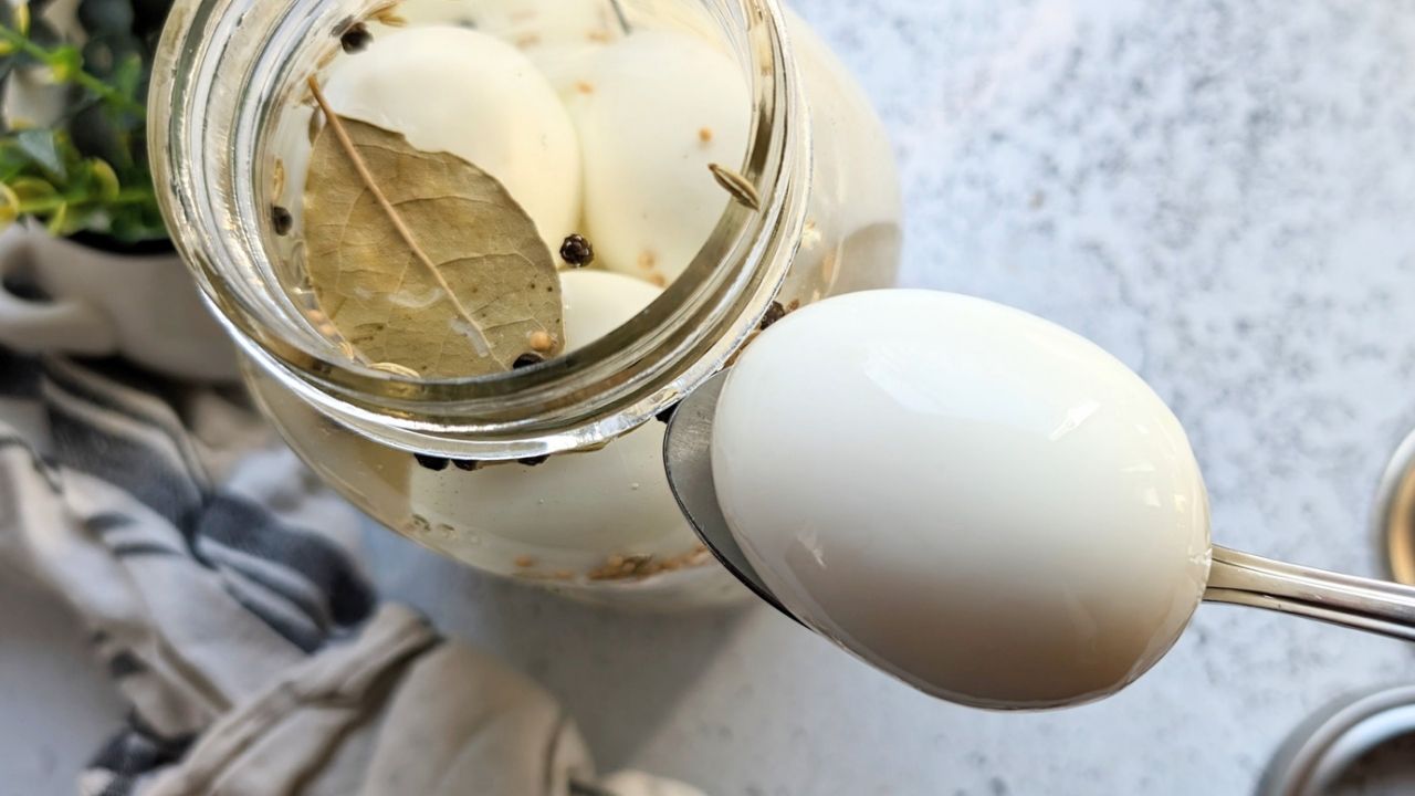 a hardboiled egg pickled in vinegar and bay leaves tasty salt free pickled eggs a great low sodium snack recipe