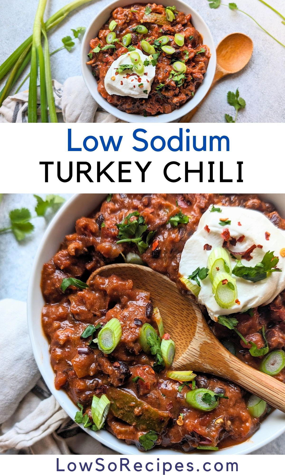 low sodium turkey chili recipe easy low sodium chili with turkey meat and onions and bell peppers and spices with no salt