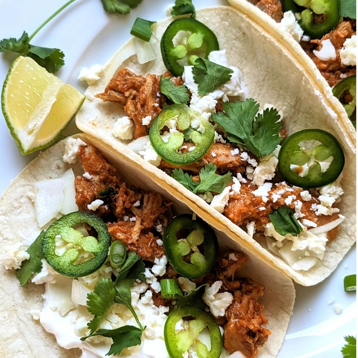 low sodium chicken taco recipe with corn tortillas, jalapenos, cilantro, and low salt queso fresco mexican cheese
