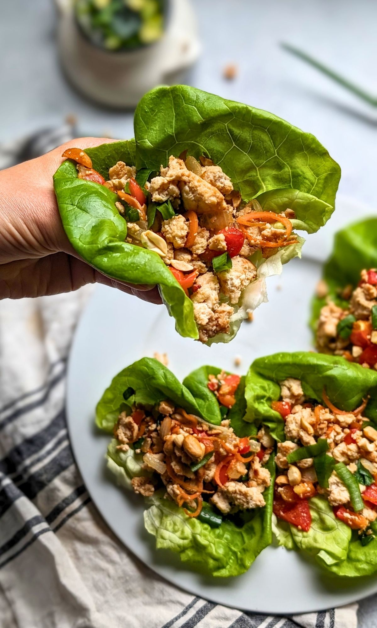 low salt lettuce chicken cups recipe with ground chicken breast fresh vegetables served in boston lettuce or bib lettuce cups