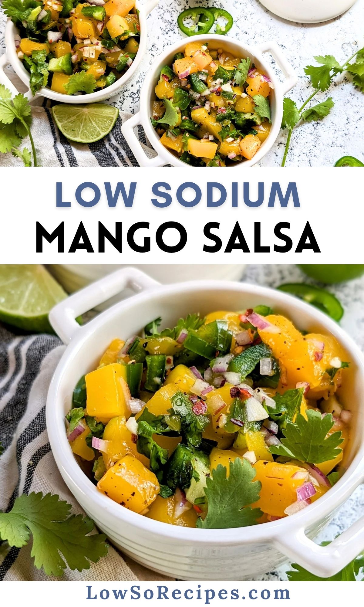 low sodium mango salsa recipe with canned mango recipes easy homemade salsa without salt