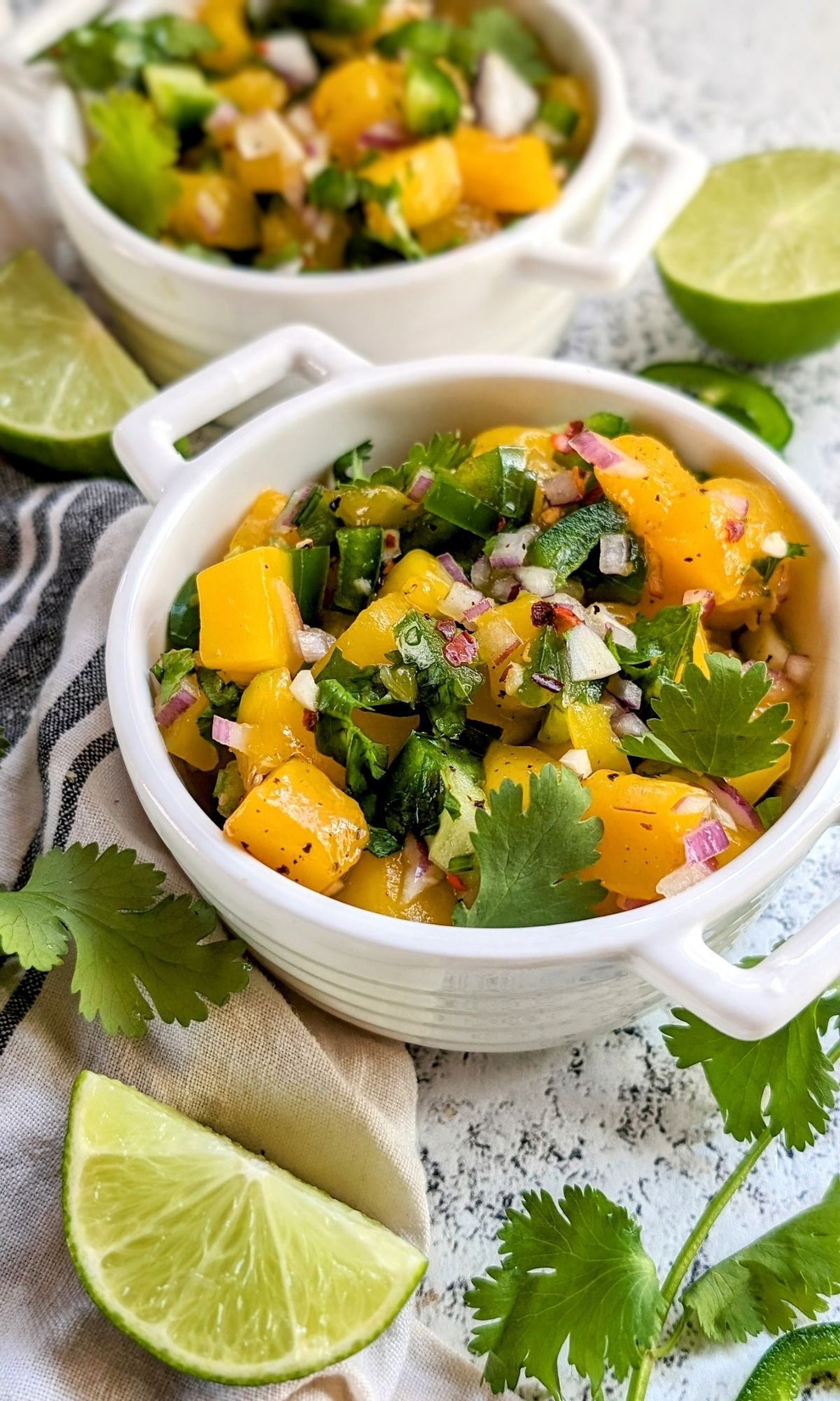 salt free salsa recipe with mango peppers and fresh vegetables and canned fruit