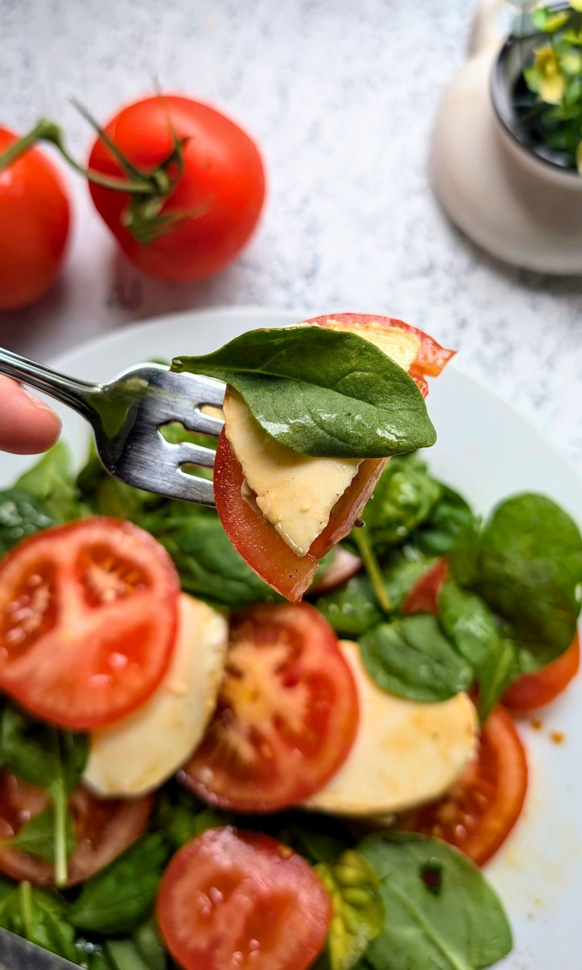 a fork with a piece of fresh mozzarella, fresh sliced tomato, and basil on it.