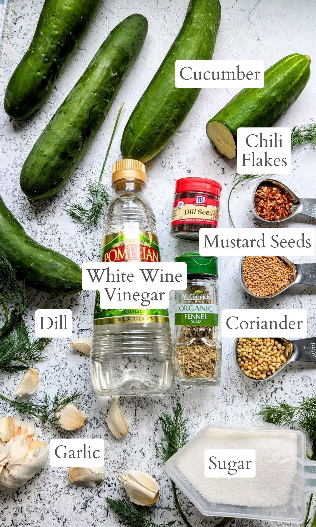 no salt dill pickle recipe ingredients with cucumbers, dill, spices, and white wine vinegar.