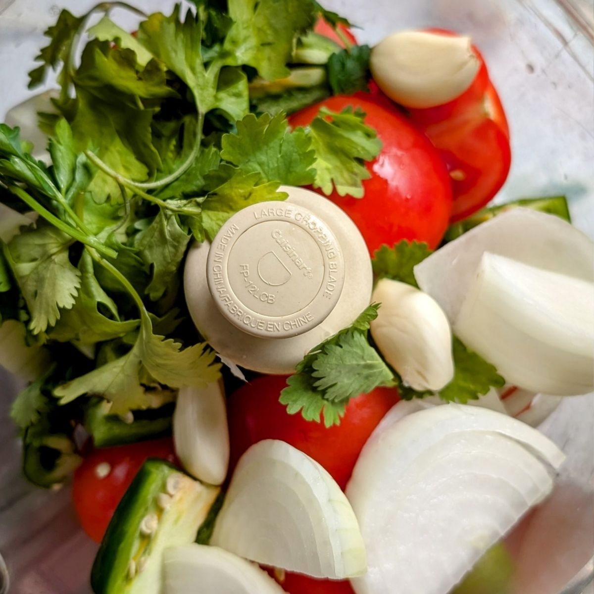 roughly chopped onions tomatoes cilantro and garlic in a food processor ready to make salt free salsa.