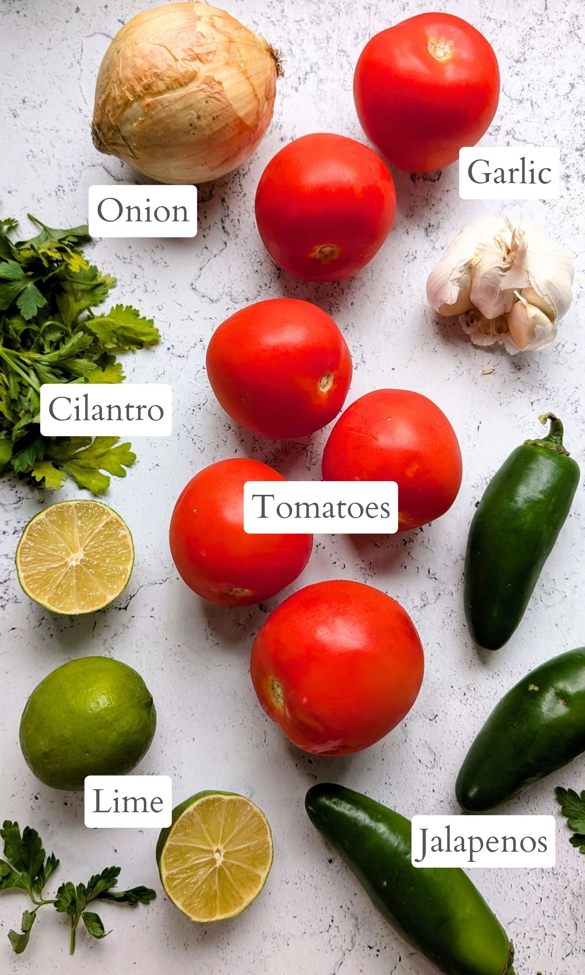 ingredients for salt free salsa - tomatoes, onion, garlic, cilantro, lime juice, and jalapeno peppers.