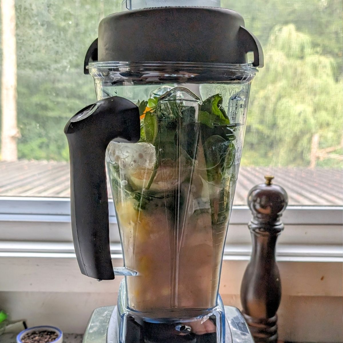 a lid on a high speed blender full of fruit, ready to be blended into a salt free breakfast smoothie.