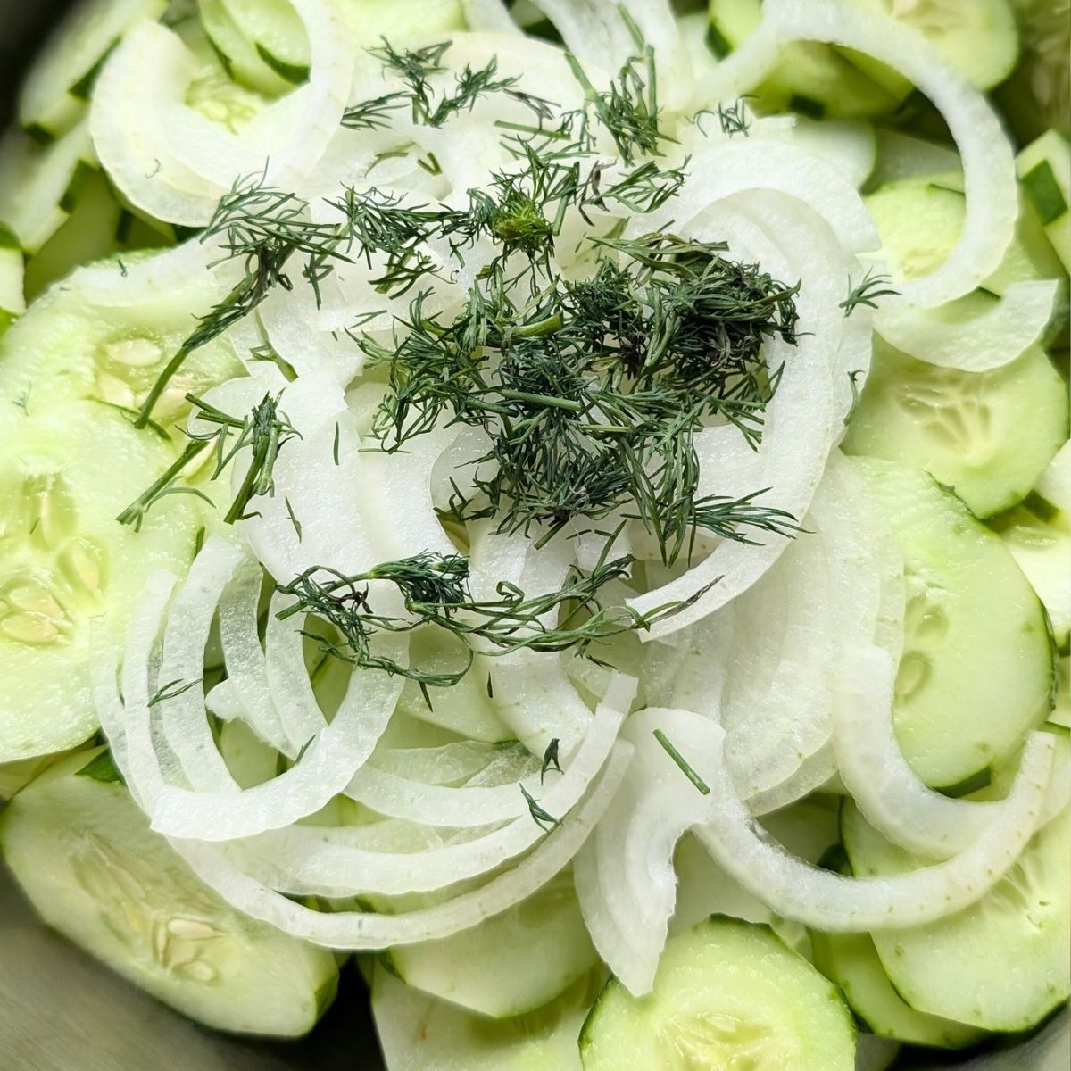 a bowl of cucumbers with fresh dill and white onions.