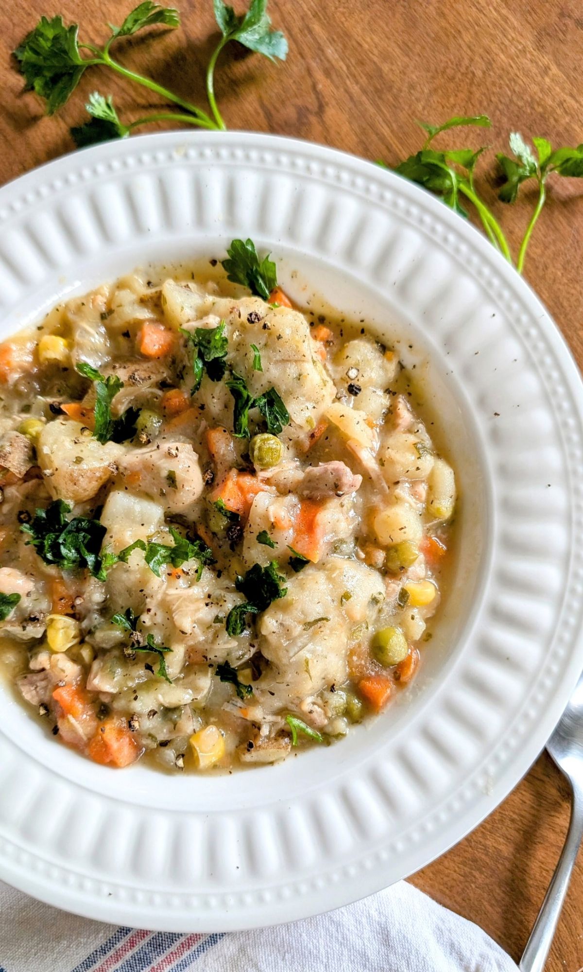 low sodium dumpling and chicken dinner stew or soup recipe