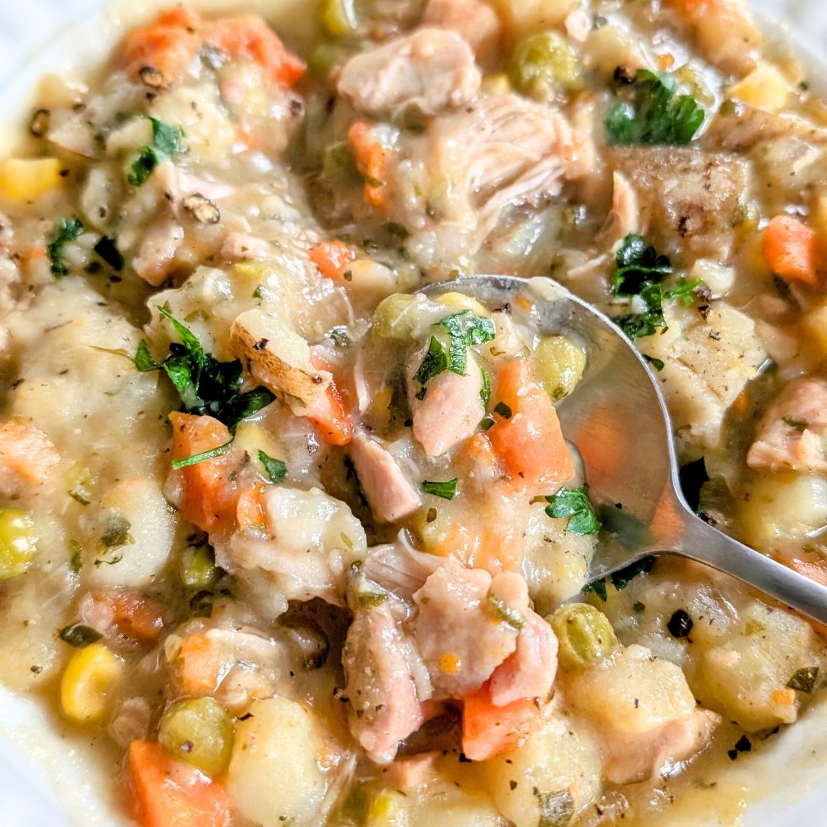 low sodium chicken recipes with dumplings and chicken or turkey meat in a stew