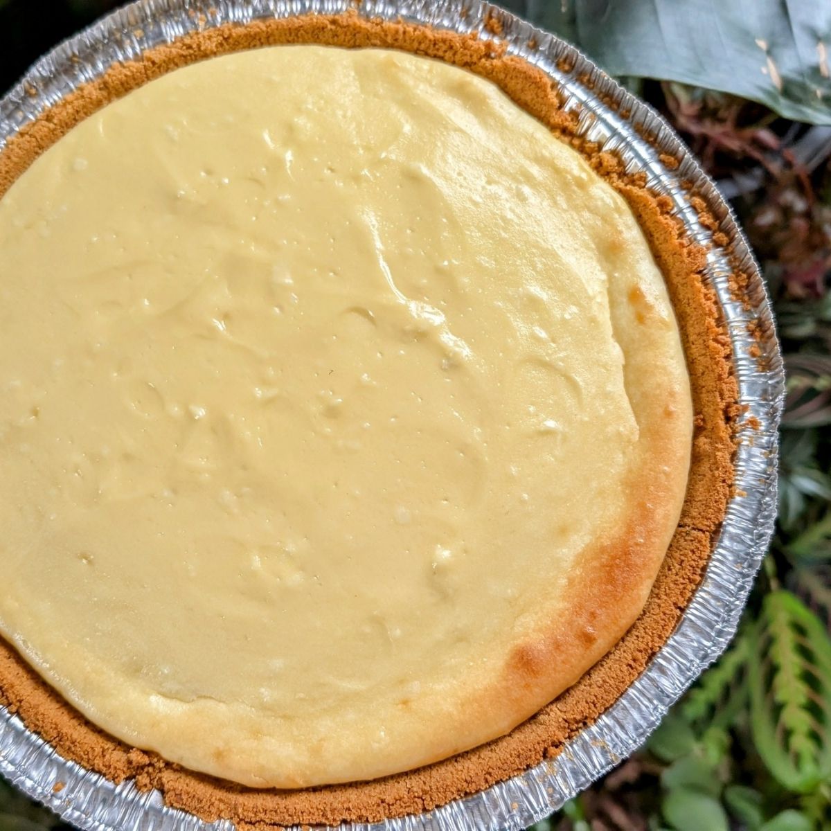 baked cheesecake with low sodium crust and no salt added cream cheese filling in a pie tin.