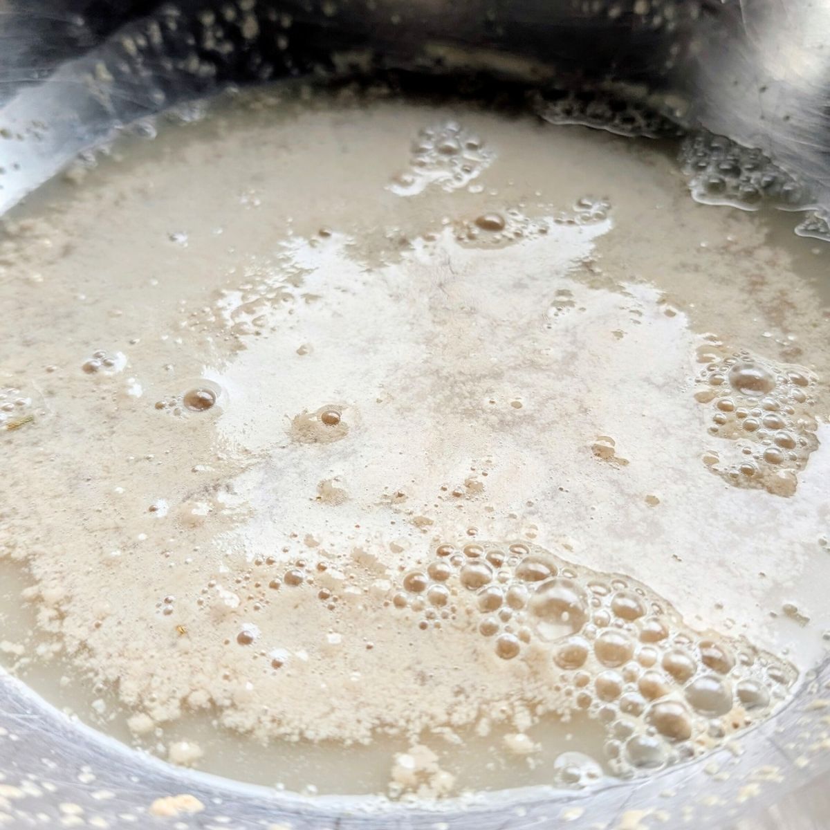 yeast blooming and bubbling to make pizza dough