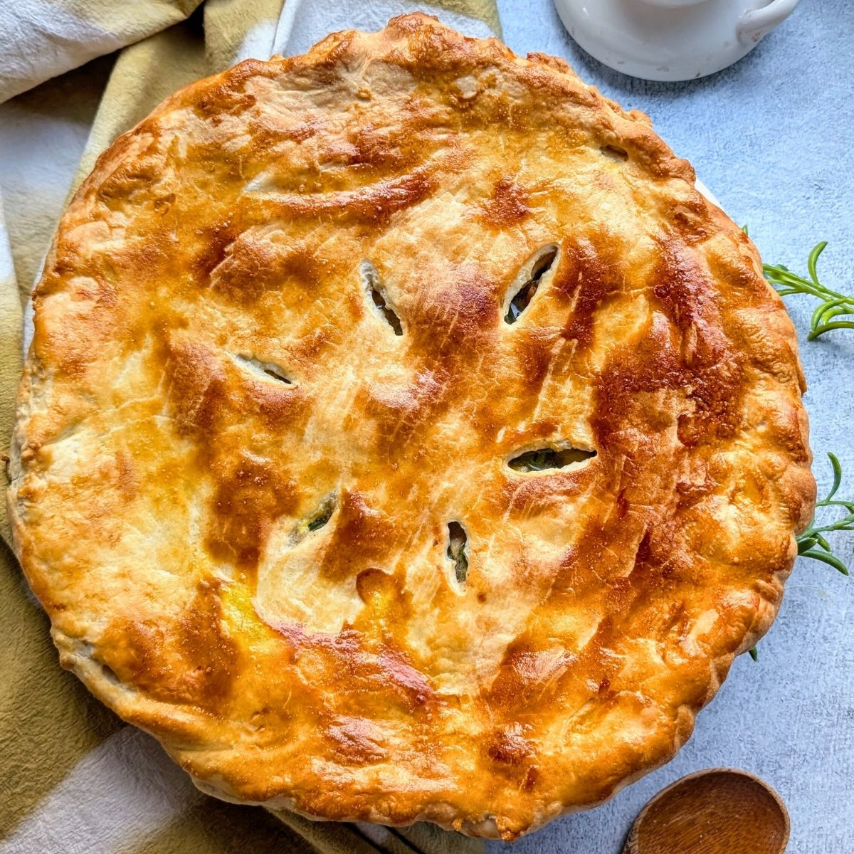 low sodium pie dough in a pie dish to make a salt free pie!