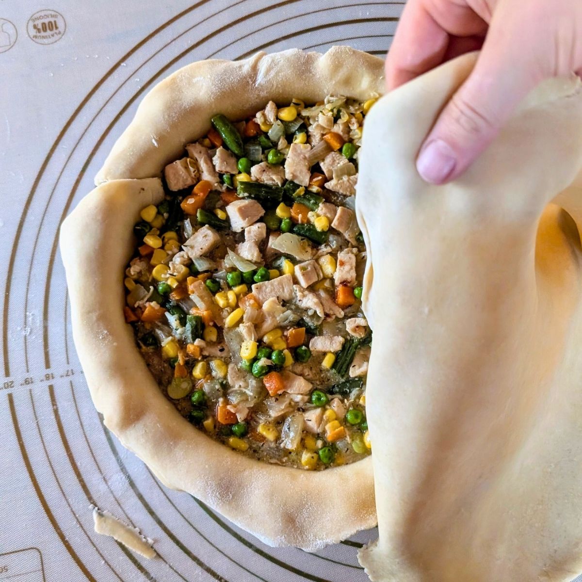 low sodium pie filling draped over a chicken pot with without salt