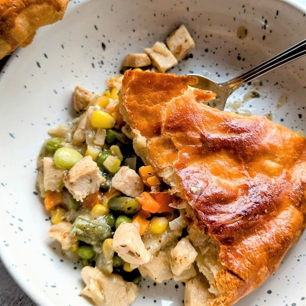 Low Sodium Chicken Pot Pie Recipe