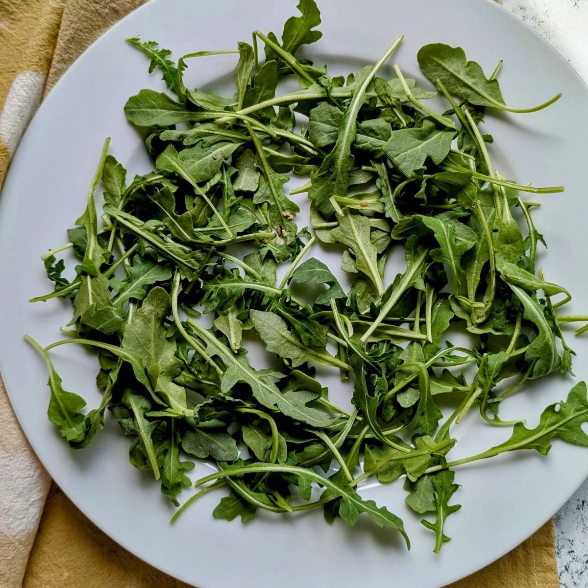 a plate of arugula to make a low sodium burrata salad for a fancy appetizer.