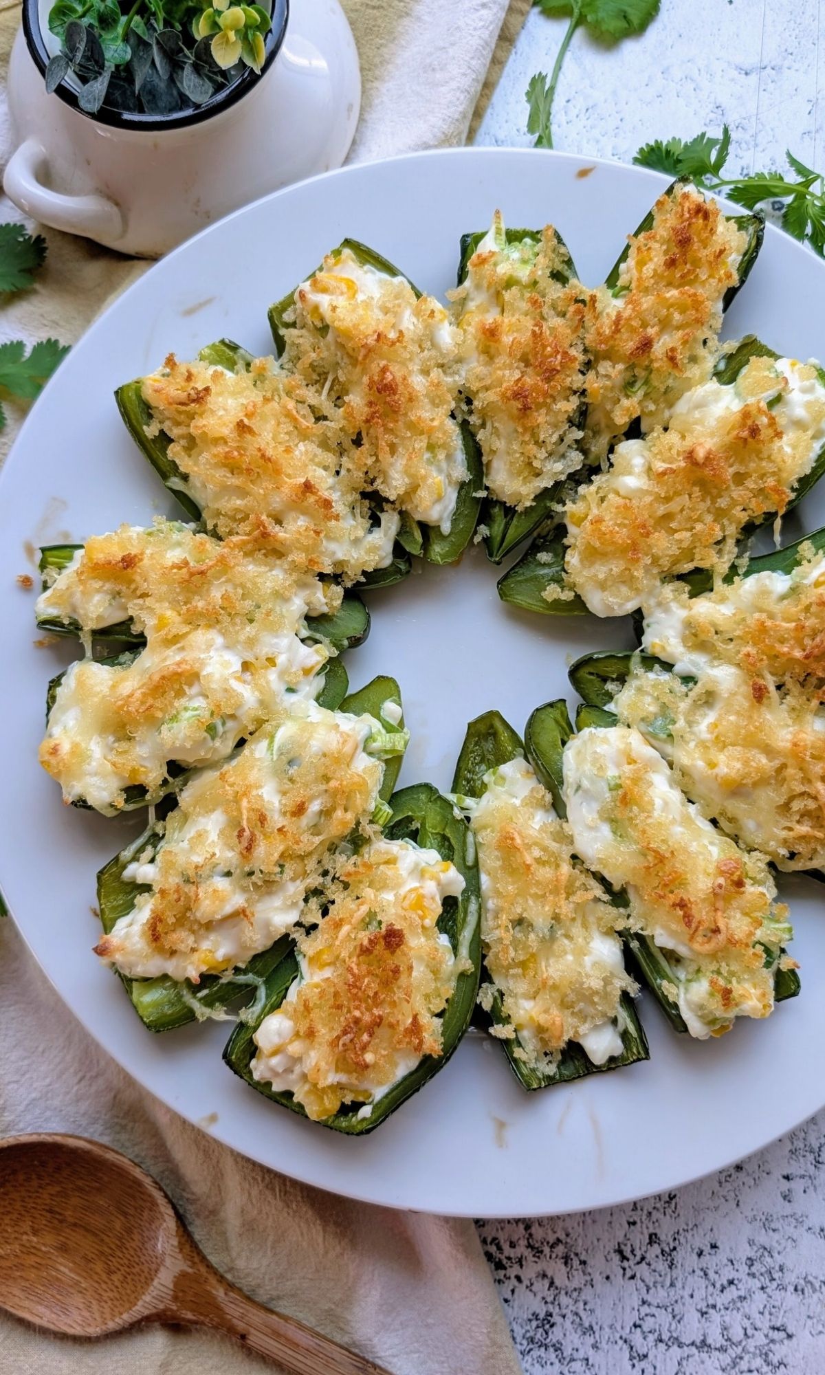 a plate of jalapeno peppers with low salt cheese and breadcrumbs