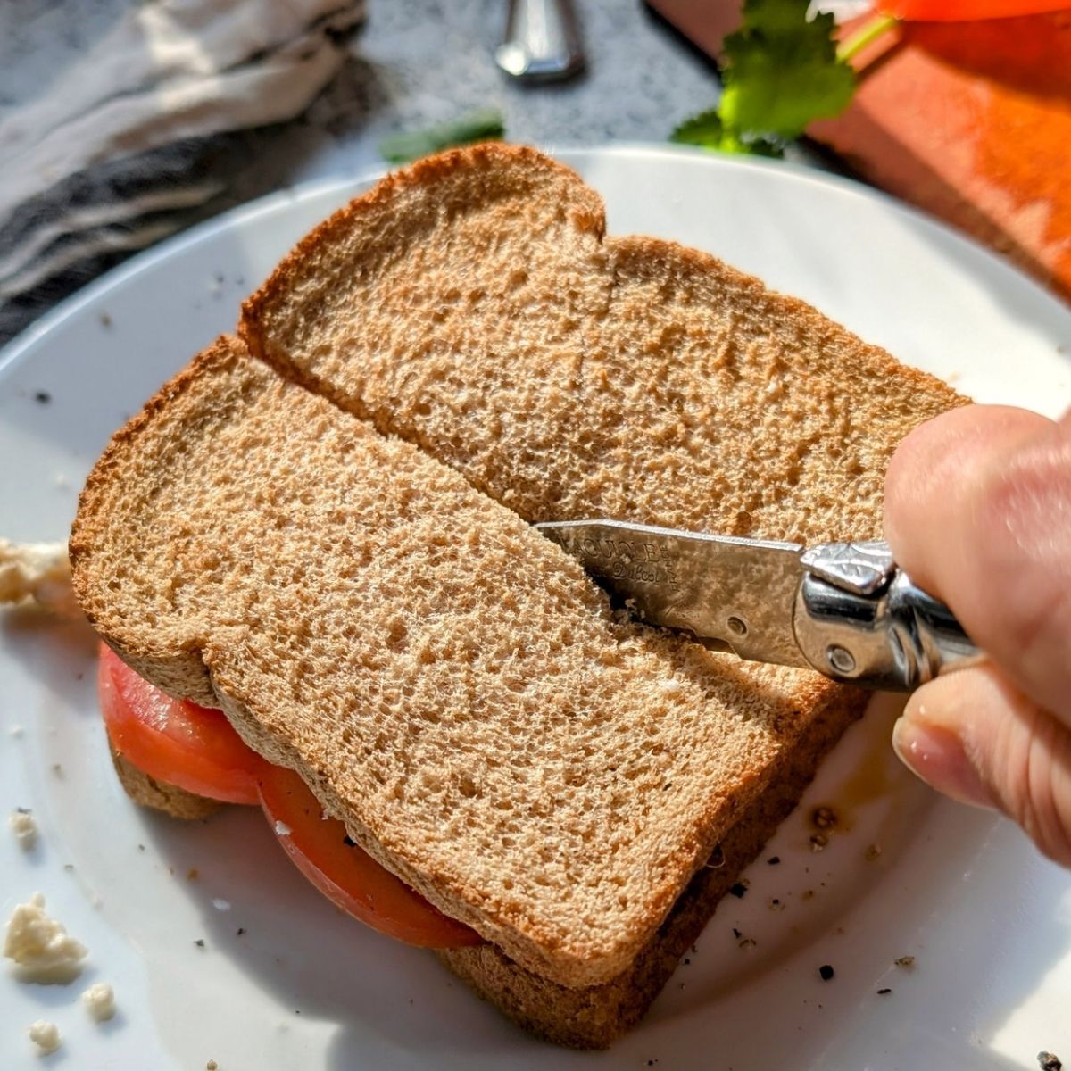 sliced low sodium sandwich with tomatoes and cheese