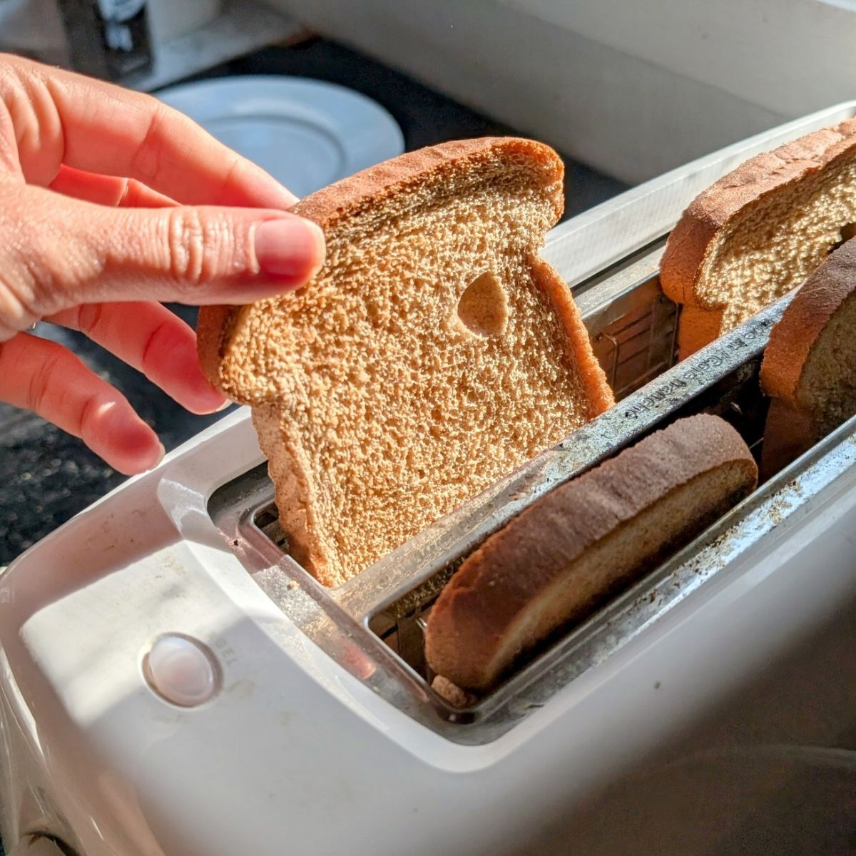 toasted no salt bread in a toaster to make a low sodium sandwich