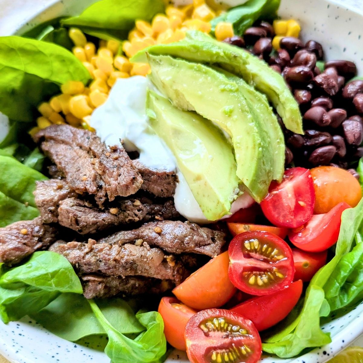 a low sodium steak salad with fresh vegetables, beans, tomatoes, and avocadoes in a bowl.