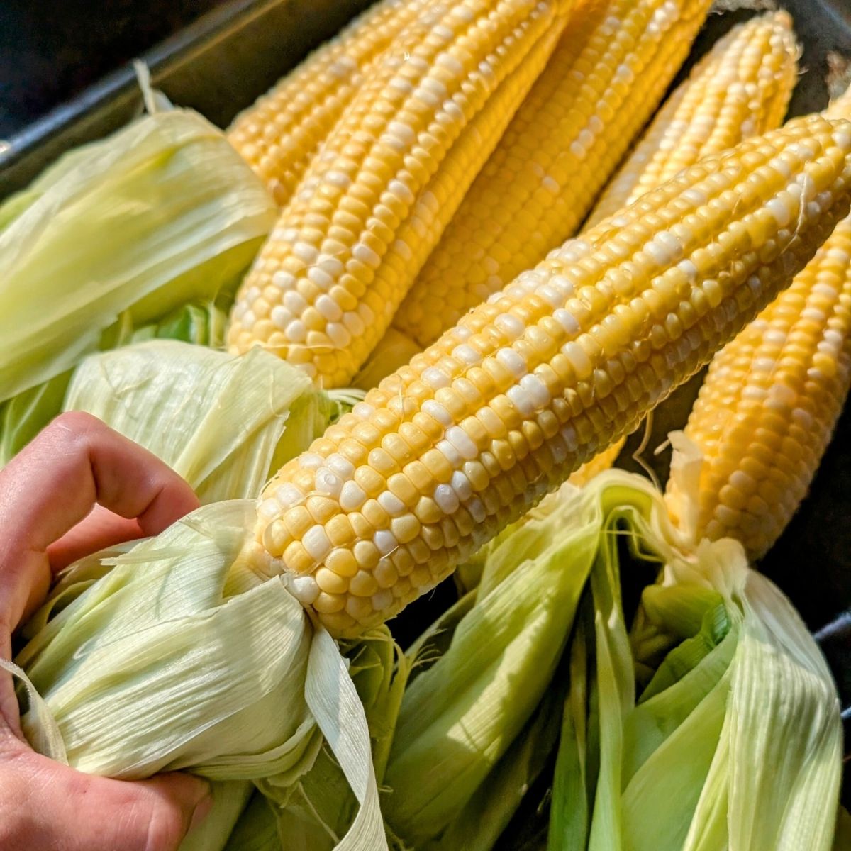 shucked corn for low sodium street corn on the cob